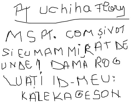 mesaj pt lume