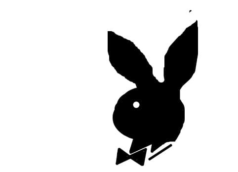 Playboy Bunny