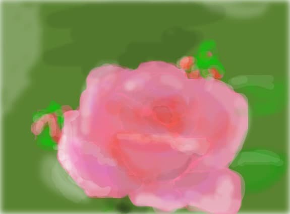 flower...