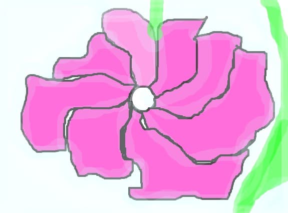 o floare