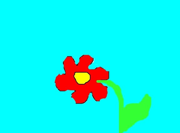 floricica`