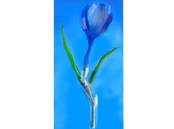 Blue flower