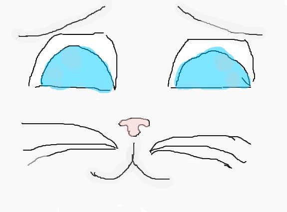 Kitten