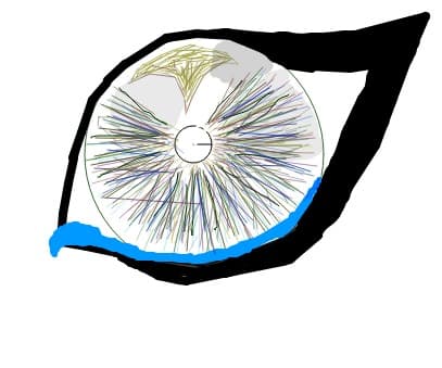 ochiul 2 :)