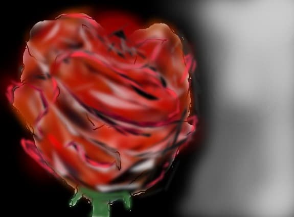 rose