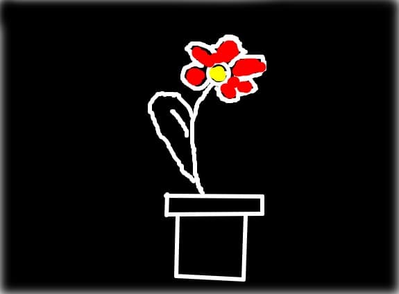 floarea rosie