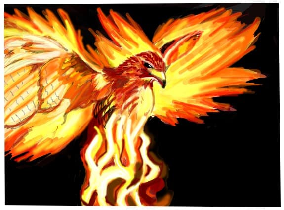 pheonix