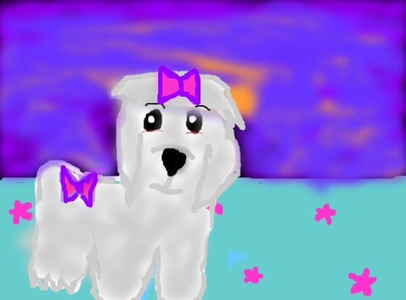 Puppy