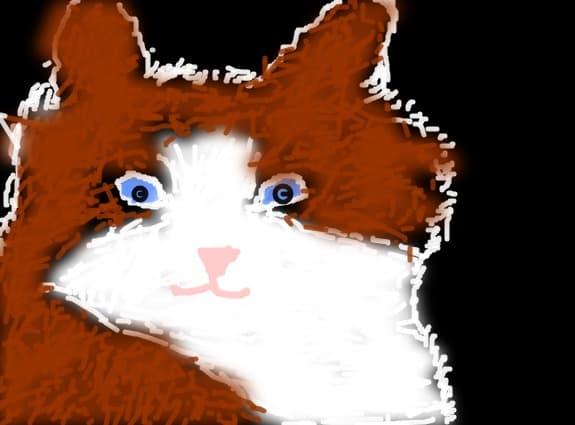 Tom
