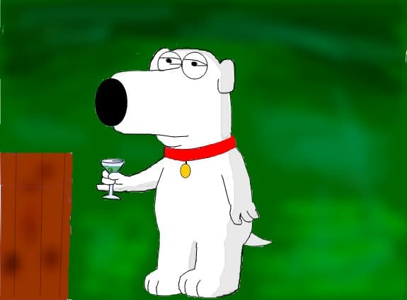 Brian the dog