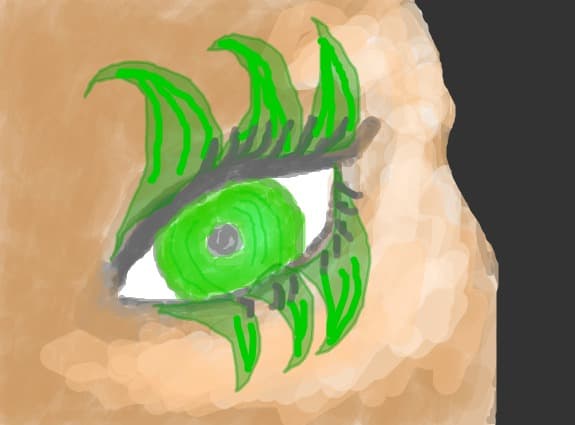 The eye of the nature