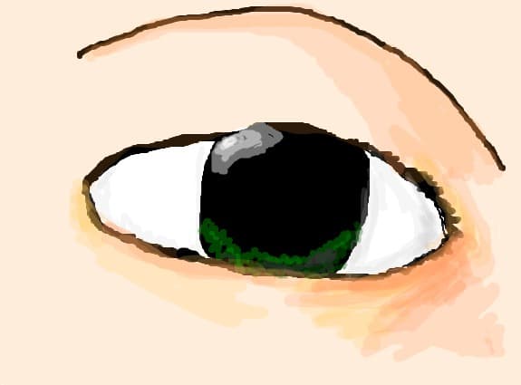 eye