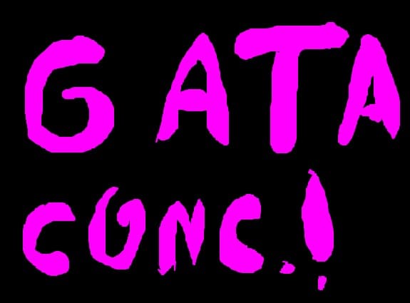 gata conc.!!!