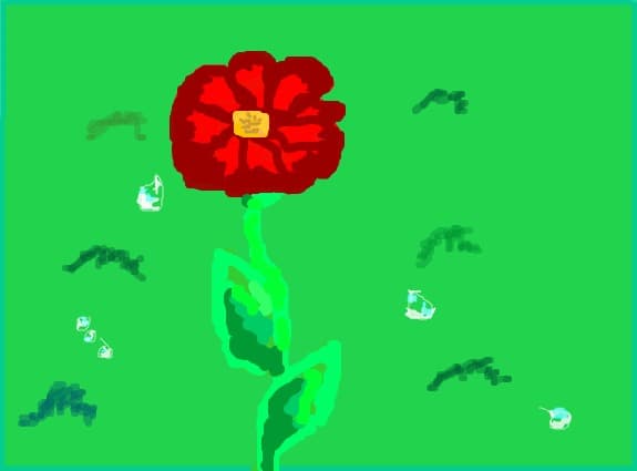 o floare....