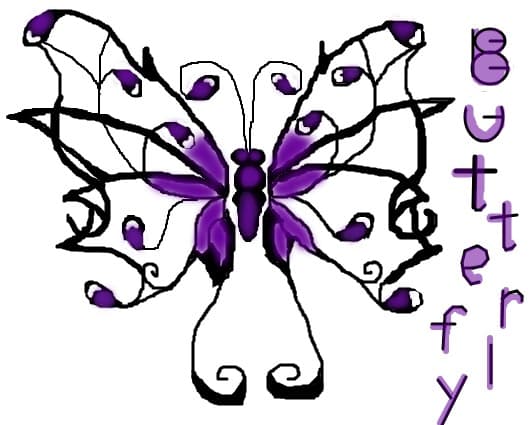 butterfly