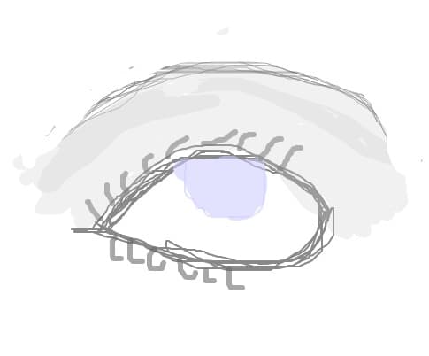 Ochi