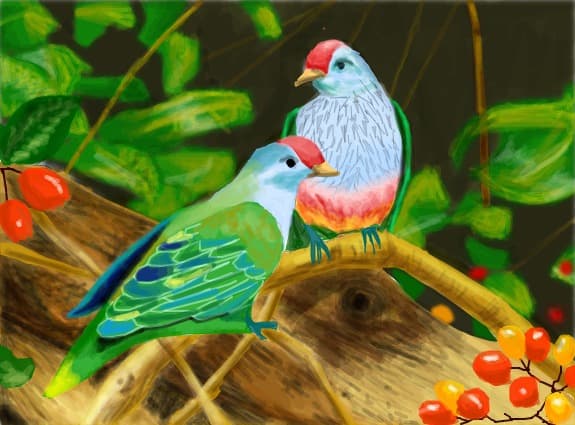 ....birds....