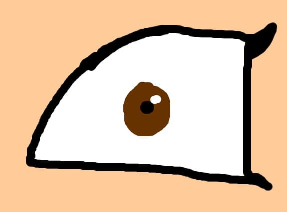 OCHI1