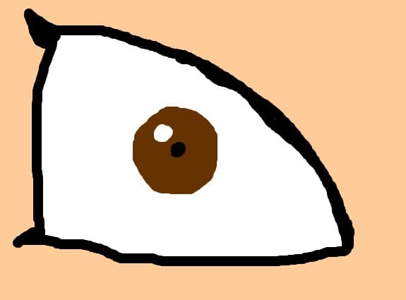OCHI2