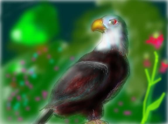 Vultur