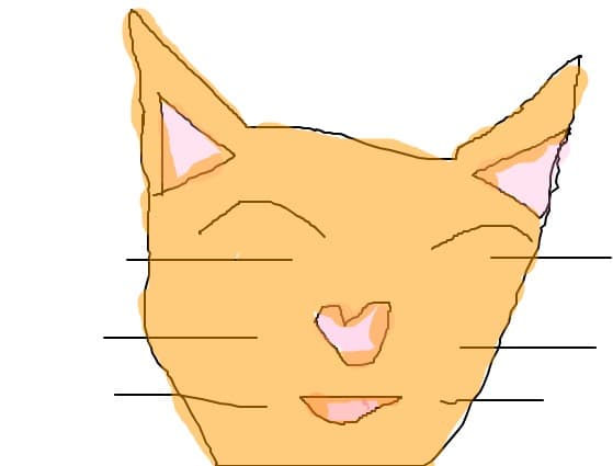 pisi