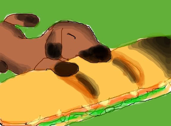 Catelus, mancand un sandwich