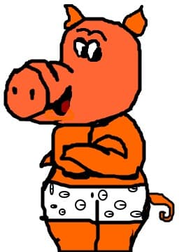 PIG