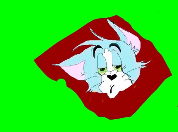Desen 104216 modificat:Tom
