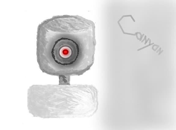 WebCam Canyon