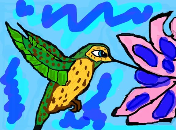 pasarea colibri