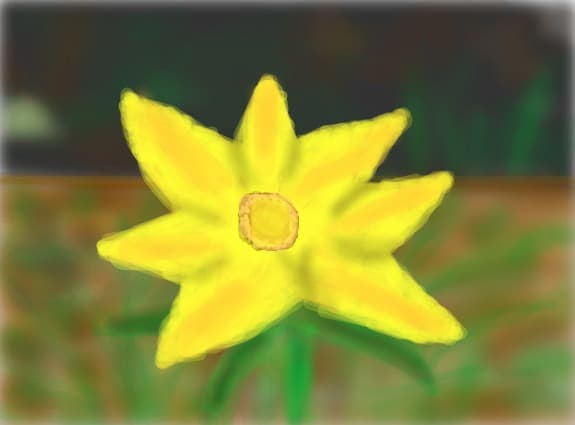 o floare