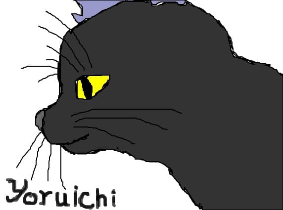 Yoruichi