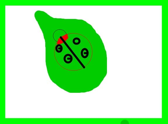 Buburuza