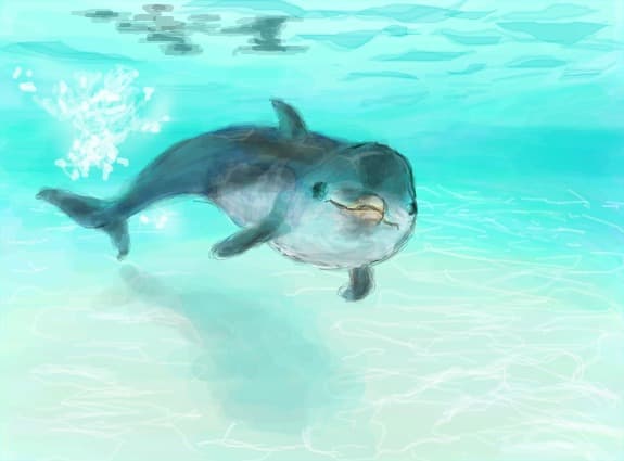 Delfin:x