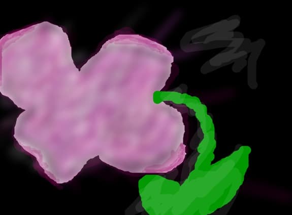 ...flower...