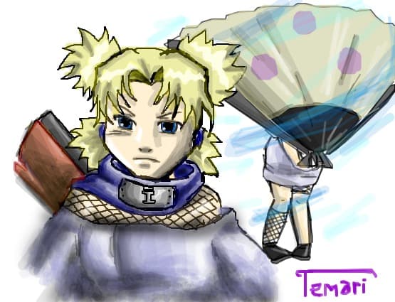 Desen 105627 modificat:temari