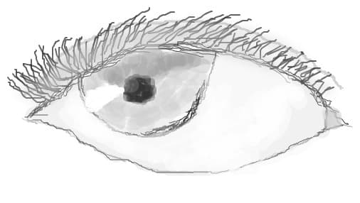ochi