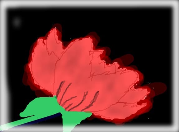 a little red rose