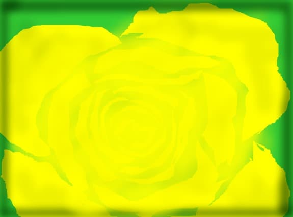 yelow rose