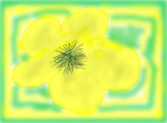 yelow flowet...........