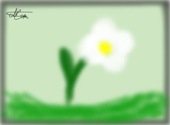 floricica