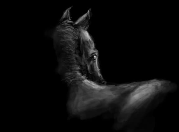 dark beauty