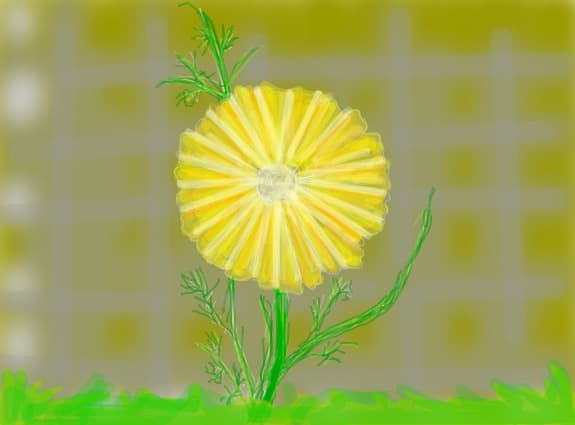 floricica :)