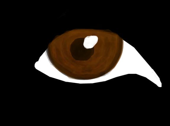 ochi in intuneric