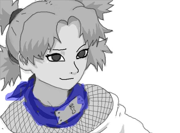 Desen 106565 modificat:temari