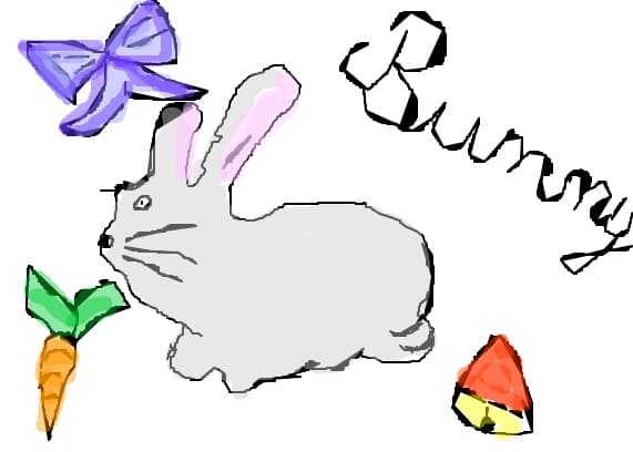 Bunny