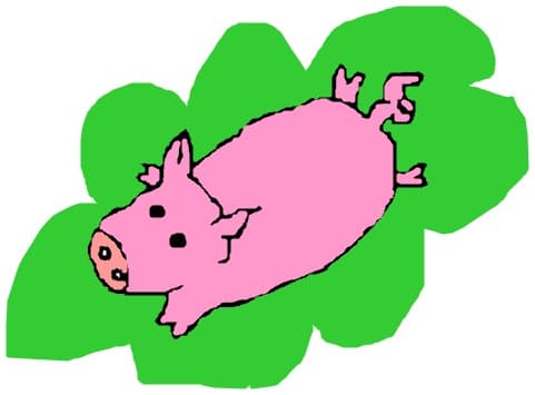 porcusorul