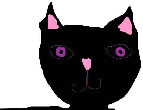 Pisi