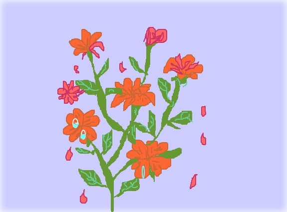 buchet de flori