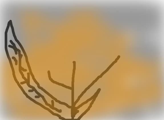 floricele